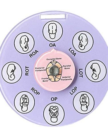 SPANSEE Midwife Fetal Position Tool, Midwife Gifts, Doula Supplies, Fetal Position Wheel, Childbirth Education Tools, Badge Buddies for Nurse, Fetal Position Wheel for Student Midwife Doctor Doula