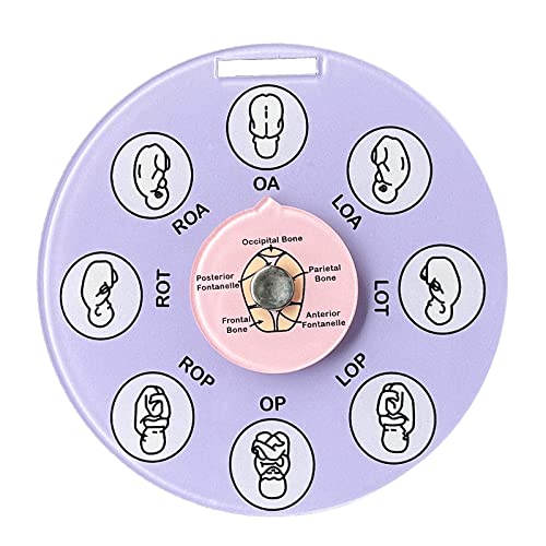 Version 1.0.0 Version 1.0.0