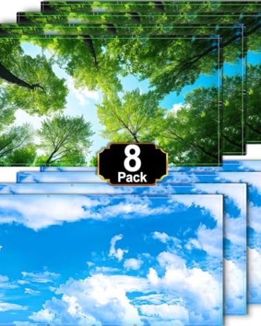 Aheroi 8 Pack Fluorescent Light Magnetic Covers, Mix Light Covers for Ceiling Lights Classroom, Office Light Covers for Ceiling Lights, Drop Lights Fixture Replacement Globes & Shades(Forest&Blue Sky)