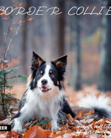 2025-2026 Wall Calendar,Border Collie Wall Calendar, 12" x 24" Open,Family Planner Calendar Organizer withBorder Collie Images, for Dogs Lovers