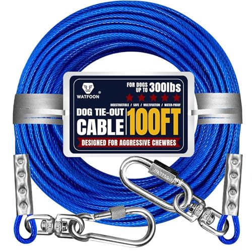 Version 1.0.0 Version 1.0.0