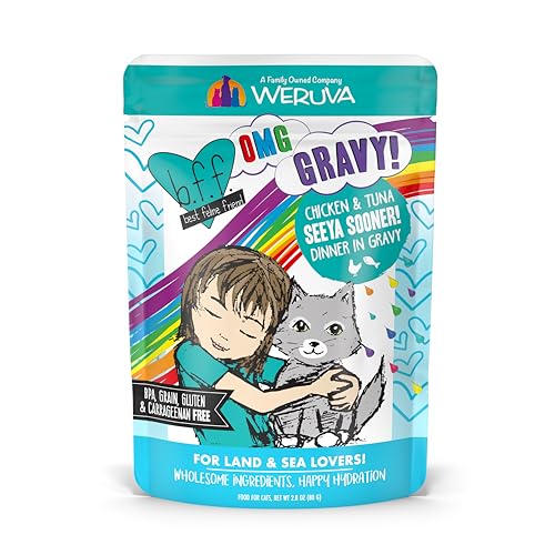 Version 1.0.0 Version 1.0.0