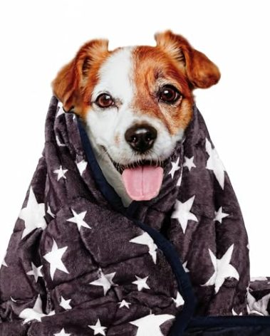LaSyL Weighted Blanket for Pets | Thunder Blanket for Dogs Anxiety | Premium Soft Minky | Relaxation & Calming & Anti Anxiety | Blue Grey Star, Washable Large 40" L x 47" W