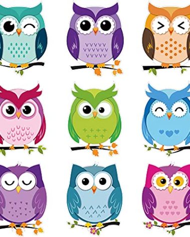 Zonon 45 Pieces Colorful Owls Cut-Outs, Owls Name Tags Labels Themed Party Bulletin Board Classroom Decoration for Teacher Student Back to School Party Supply 6.7 x 5.5 Inch