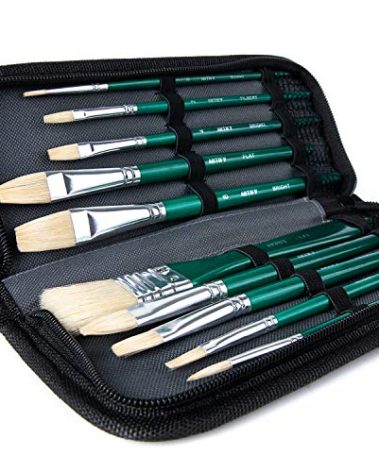 ARTIFY 10 Pieces Paint Brush Set, Intermediate Series, Includes a Carrying Case, Premium Hog Bristle Brushes for Acrylic and Oil Painting (Green - Hog Bristle)