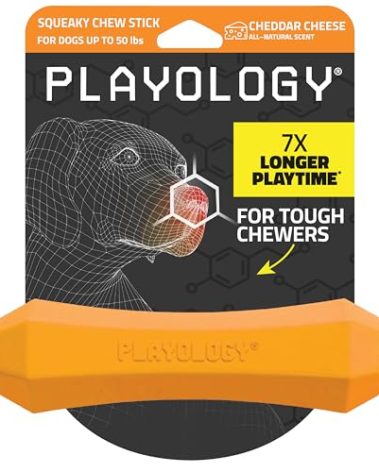 Playology Dog Toys | Durable Squeaky Chew Stick for Dogs | Medium Cheddar Cheese Scented Toy - Easy to Clean and Made from Non Toxic Materials
