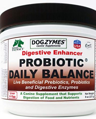 Dogzymes Probiotic Daily Balance - Supplies Nutritional Support and Live microorganisms for intestinal Well-Being as Well as enzymes for Proper Digestion. (8 Ounce)