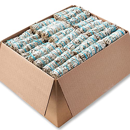 Version 1.0.0 Version 1.0.0