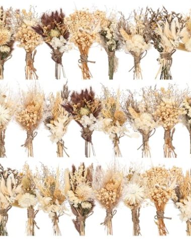 Layhit 24 Pcs Boho Dried Flower Bouquet Mini Wedding Handmade Dry Flowers Decor for Vase Crafts DIY Photo Boutonniere for Men Floral Plant for Bridesmaid Gift Birthday Decor(Stylish)