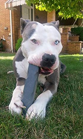 Indestructibone Mega Max Virtually Indestructible Chew Toy for Dogs 51-100 Pound