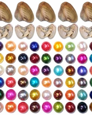 50PC Oyster with Round Pearl Inside Meaningful Color Freshwater Cultured Oyster Love Wish Pearls Beads for Jewelry Making Crafts Gifts((6-8mm, 50 PCS/Lot)