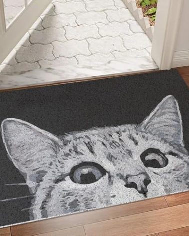 MR FANTASY Cat Door Welcome Mat - Outdoor Entrance, Durable Doormat for Indoors & Outdoors, High Traffic Areas, 17x29