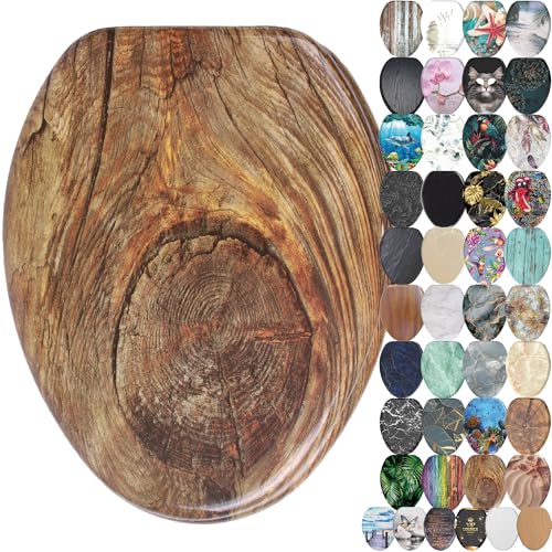 Version 1.0.0 Version 1.0.0