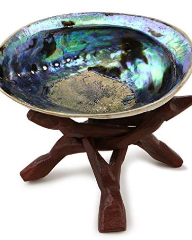 Ocean Shell Studios 5-6 inches Premium Natural Abalone (Pāua) Shell with Wooden Stand for Smudging, Cleansing Home, Meditation, Shell Crafts,Incense Holder, Home Décor, 100% Natural, Sustainable.