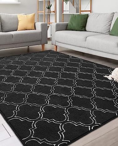 Chicrug Shag Geometric 5x7 Area Rug for Living Room, Large Modern Memory Foam Indoor Carpet, Fluffy Rug for Bedroom Bedside Room Decor for Family Girls Kids Nursery, Black/White