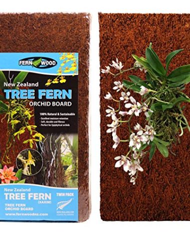 Fernwood Tree Fern Orchid Mounting Board- Soft, Durable, and Fibrous | Natural and Sustainable | for Orchids and Other Epiphytes | 2 Pack (Regular 12x6x1)