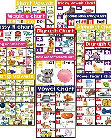13 English Phonics Poster Language Arts Charts for Kids Toddler Learning Vowels Posters for Kindergarten, Preschool, Primary School Alphabet Bulletin Board Set Classroom Wall Decoration (16 x 11 Inch)