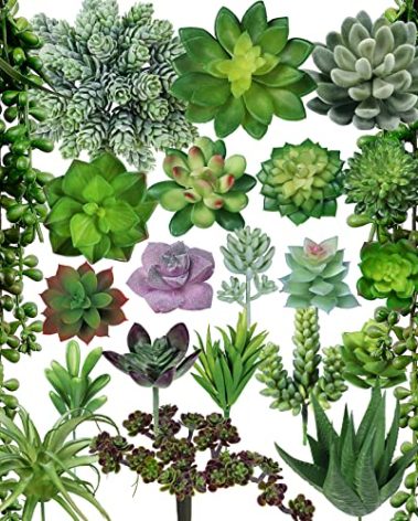 Winlyn 22 Pcs Bulk Artificial Succulents Plants Unpotted Small Aloe Hanging String of Pearls Cactus Green Fake Succulents for Succulent Garden Arrangement Centerpiece Wall Indoor Outdoor Home Decor