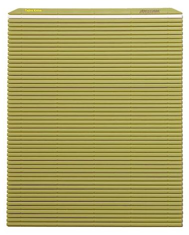 Hasegawa 10 x 9.5 Inch Plastic Green Makisu/Sushi Rolling Mat