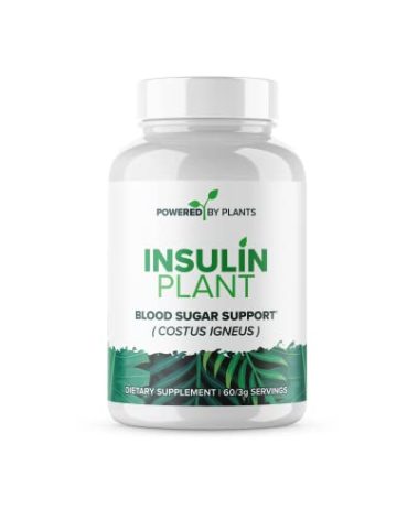 Research Biotech Group Insulin Plant Capsules - 3000mg Costus Igneus Leaf Powder with No Binders, Fillers & Gluten - Vegan, Non GMO Supplements for Women & Men by Powered X Plants, 240 Capsules