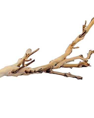 Exo Terra Forest Branch, Small