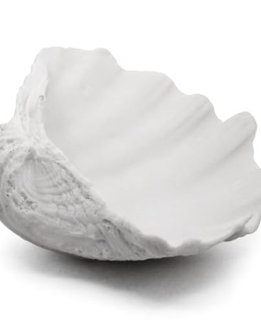 Accessoryway Extra Large Clam Shells Decorative Bowl-White Sea Shells Decorative Storage Bowls for Coastal Beach theme house table centerpiece decorations & Nautical decor for coffee table-12.4"-1PC