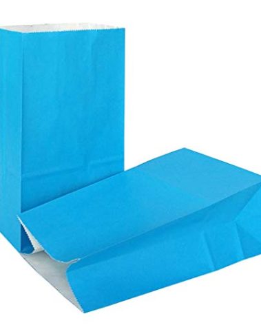 KEYYOOMY 50 CT Small Paper Bags Blue Party Goodie Bags Party Favor Bag Paper Lunch Bag (Sky Blue, 50 CT, 9.4 X 5.1 X 3.1 In)
