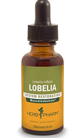 Herb Pharm Certified Organic Lobelia Liquid Extract for Musculoskeletal System Support - 1 Ounce (DLOBEL01)