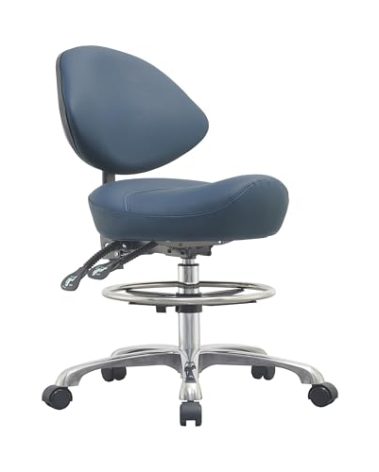 Rolling Saddle Chair with Back Support, Height Adjustable Ergonomic Saddle Stool Chair with Wheels for Dental Hygienist,Salon,Esthetician