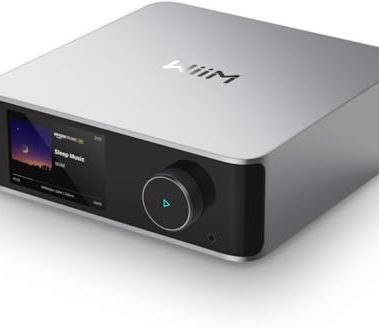 WiiM Ultra Music Streamer & Digital Preamp | 3.5" Touchscreen, Compatible with Google Cast & Alexa, Stream Spotify, Amazon Music, Tidal & More | HDMI ARC, Phono Input & Headphone Output | Silver
