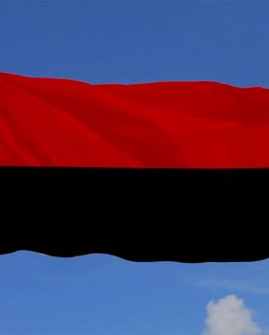 Fyon Former war banner Battle flag of the Ukrainian Insurgent Army flag 3x5ft