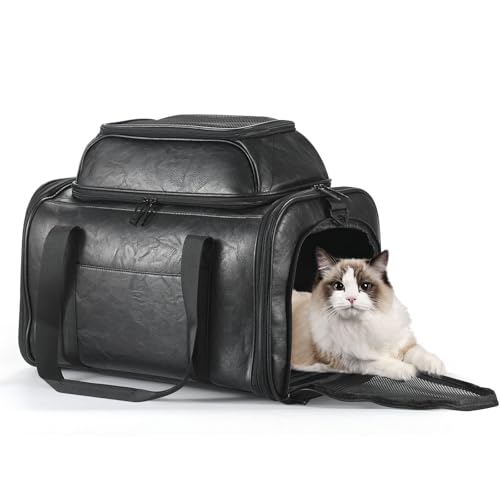 Version 1.0.0 Version 1.0.0