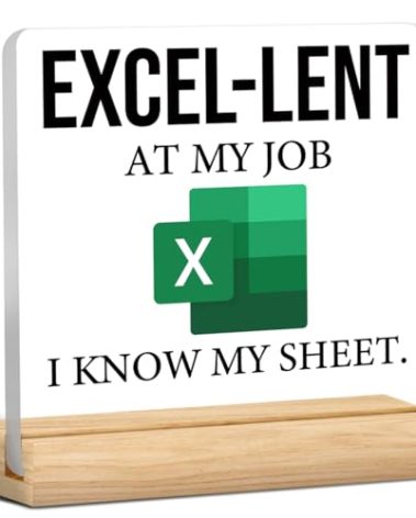 Accountant Gifts for Women Men, Funny Spreadsheet Excel, Excel Gifts Idea for Coworkers Colleague Friend, I Know My Sheet Acrylic Desk Sign Decor (4 x 4 Inches)