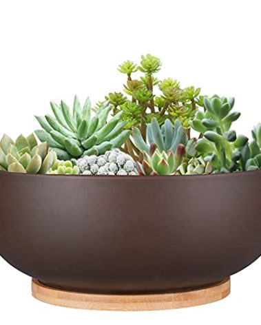 Thirtypot 10 Inch Terracotta Planter, Large Succulent Bonsai Planter Pot with Drainage Hole and Bamboo Saucer for Indoor Plants, Brown