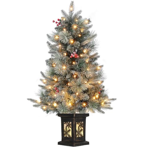 Version 1.0.0 Version 1.0.0