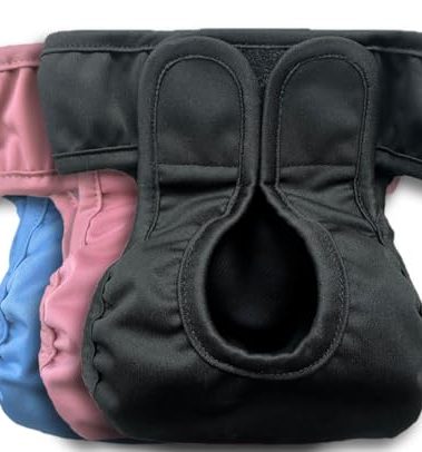 Kitty Bum Bums Reusable Cat Diapers and Stud Pants to Prevent Pee Marking - with Adjustable Tabs to Fit (Pack of 3) (Large)