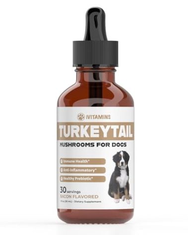 Turkey Tail Mushroom for Dogs | Helps to Boost The Immune System, is a Healthy Prebiotic, & Much More | Turkey Tail for Dogs | Mushrooms for Dogs | Dog Mushroom Supplements | 1 fl oz