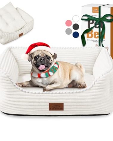 Zerbuger Orthopedic Dog Bed for Medium Dogs,Dog Sofa Beds Supportive Foam Pet Couch Bed with Removable Washable Mat and Nonskid Bottom (Medium, Cream)