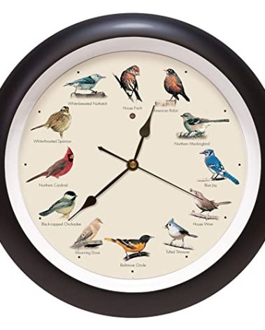 Mark Feldstein, The Original Singing Bird Wall Clock, 13 Inch, Black