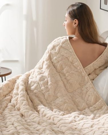 Drewin Weighted Blanket Queen Size 17lbs, Classy Soft Jacquard Sherpa Weighted Blankets for Sleep Natural and Calming, Ultra-Cozy Sofa Bed Blanket for Winter, Beige, 60 x 80 inches