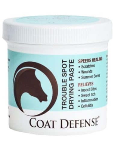 COAT DEFENSE Trouble Spot Drying Paste for Horses - Natural Equine Wound Care That Provides Safe & Effective Relief from Scratches, Sweet Itch, Summer Sores, Proud Flesh, Mud Fever, Girth Rot (10 Oz)