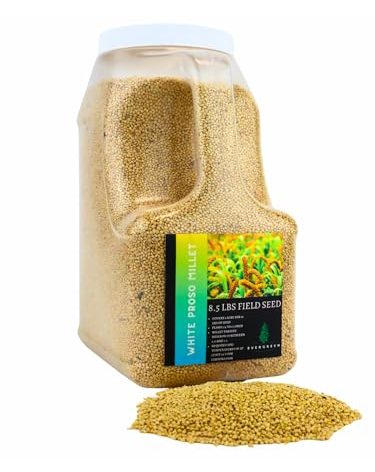 Evergreen Farm and Garden White Proso Millet Field & Bird Seed (8.5 Lbs)