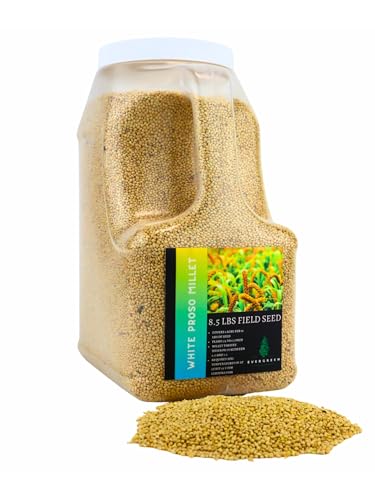 Version 1.0.0 Version 1.0.0