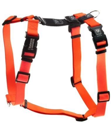 Blue-9 Buckle-Neck Balance Harness, Fully Customizable Fit No-Pull Harness, Ideal for Dog Training and Obedience, Made in The USA, Orange, Small