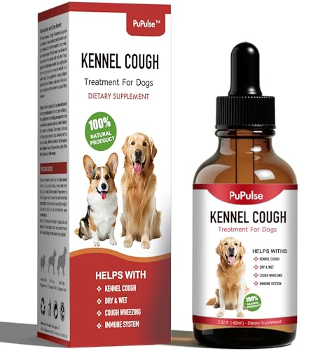 Version 1.0.0 Version 1.0.0