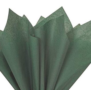 Forest Green Tissue Paper Squares, Bulk 24 Sheets, Premium Gift Wrap and Art Supplies for Birthdays, Holidays, or Presents by Feronia packaging, Large 20 Inch x 30 Inch