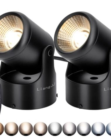 LiangJJ 2 Pack 12W Uplighting Indoor Uplights with Timer and Remote, Stepless Adjustable Color Temperature and Dimmable Floor Can Light, 6000K Accent Spot Lights for Plant, Artwork, Corner, Wall