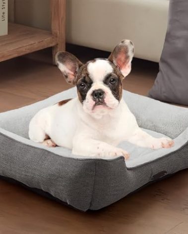 DEBANG HOME Dog Bed for Small Dogs Breeds, Rectangular Soft Kennel Bed,Washable Deluxe Plush Dog Crate Beds, Comfy Durable Pet Sleeping Bed with Pillow & Non-Slip Bottom, Size (24"X21" Gray)