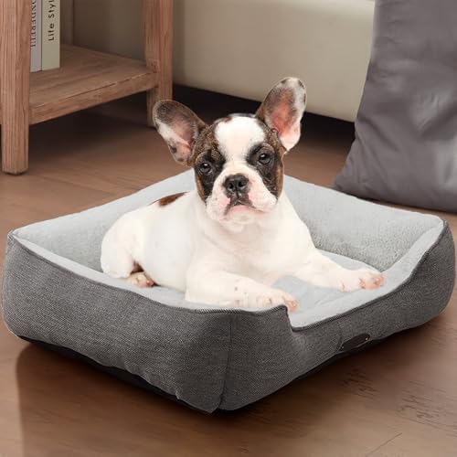 Version 1.0.0 Version 1.0.0