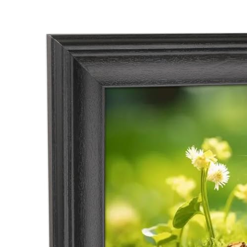 Version 1.0.0 Version 1.0.0